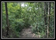 Tract A at Perry Ridge property photo