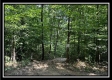 Tract A at Perry Ridge property photo