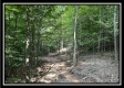 Tract A at Perry Ridge property photo
