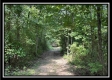 Tract A at Perry Ridge property photo