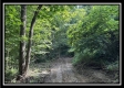 Tract A at Perry Ridge property photo