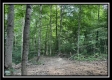 Tract A at Perry Ridge property photo