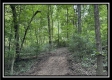 Tract A at Perry Ridge property photo