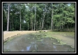 Tract A at Perry Ridge property photo