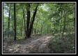 Tract A at Perry Ridge property photo