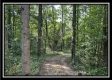 Tract A at Perry Ridge property photo