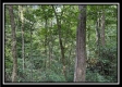 Tract A at Perry Ridge property photo