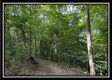 Tract A at Perry Ridge property photo