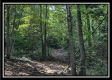 Tract A at Perry Ridge property photo