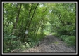 Tract A at Perry Ridge property photo