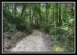 Tract A at Perry Ridge property photo