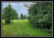Tract 9 at Walnut Meadows property photo