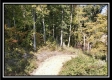 Tract 18 - Huston Hills property photo