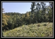 Tract 18 - Huston Hills property photo