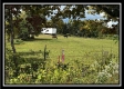 Tract 18 - Huston Hills property photo