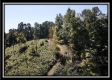 Tract 18 - Huston Hills property photo