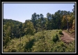 Tract 18 - Huston Hills property photo
