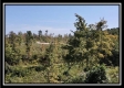 Tract 18 - Huston Hills property photo