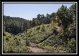Tract 18 - Huston Hills property photo