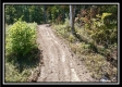 Tract 18 - Huston Hills property photo