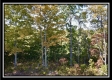 Tract 18 - Huston Hills property photo