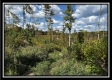 Grandview Cabin at Huston Hills property photo