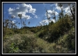 Grandview Cabin at Huston Hills property photo