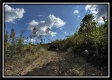 Grandview Cabin at Huston Hills property photo