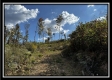 Grandview Cabin at Huston Hills property photo