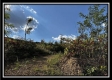 Grandview Cabin at Huston Hills property photo