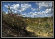 Grandview Cabin at Huston Hills property photo