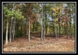 Hawk’s Nest Cabin property photo