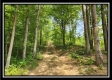 Hawk’s Nest Cabin property photo