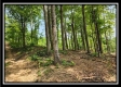 Hawk’s Nest Cabin property photo