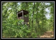 Hawk’s Nest Cabin property photo