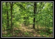 Hawk’s Nest Cabin property photo