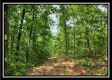 Hawk’s Nest Cabin property photo