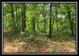 Hawk’s Nest Cabin property photo