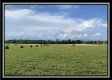 2.769 Ac Salem Church Rd