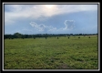More of 2.769 Ac Salem Church Rd