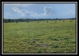 More of 2.769 Ac Salem Church Rd