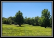 Walnut Meadows – Tract 3 property photo