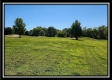 Walnut Meadows – Tract 3 property photo