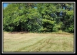 Walnut Meadows – Tract 3 property photo