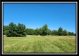 Walnut Meadows – Tract 3 property photo
