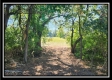 Walnut Meadows – Tract 3 property photo