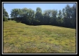 Walnut Meadows – Tract 3 property photo