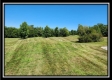 More of Walnut Meadows – Tract 3