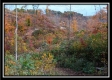 Tract 1 - Huston Hills property photo