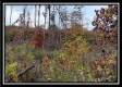 Tract 1 - Huston Hills property photo
